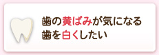 歯の黄ばみが気になる歯を白くしたい